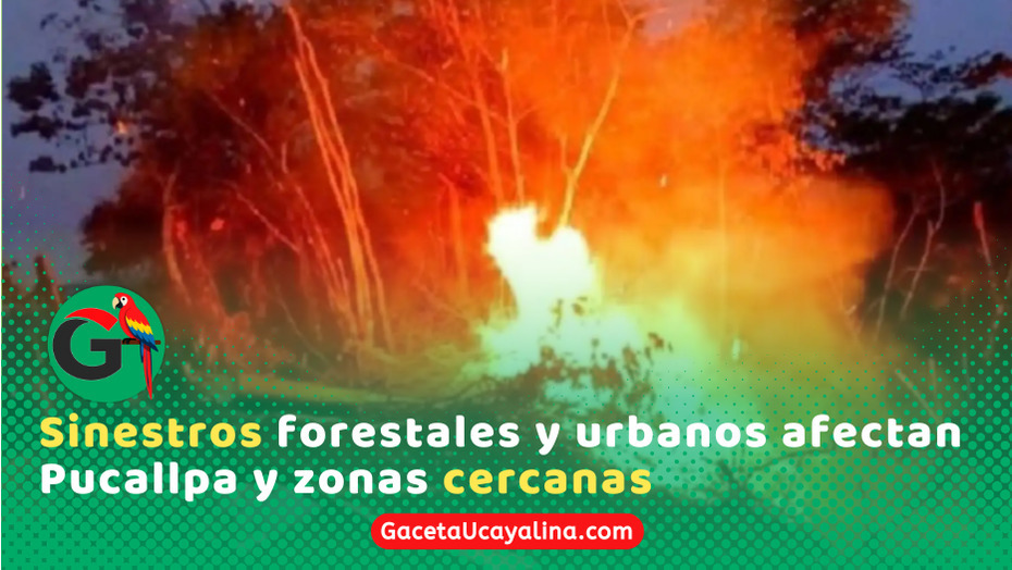 Tres incendios en Pucallpa encienden alarmas en autoridades regionales