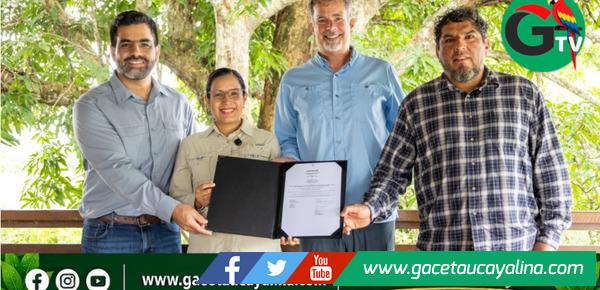 Palmicultora ocho sur obtiene tres certificaciones orgánicas internacionales