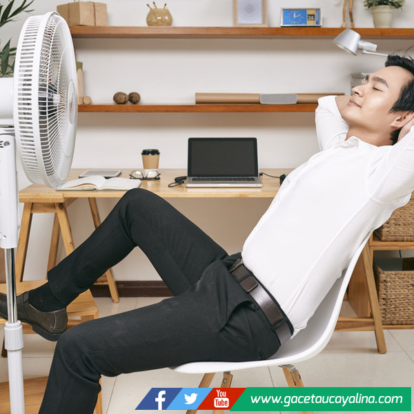 Ventilador: qué considerar para refrescar el hogar en climas cálidos