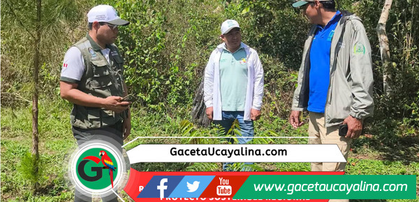 Proyecto ecosistémico del río Unini registra importantes avances ambientales en Ucayali